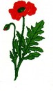 Logo - Mac - Usugi Ogrodnicze