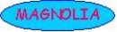 Logo - Magnolia F.U.H.