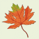 Logo - Ekoogrd 