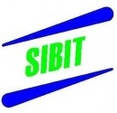 Logo - Usugi Budowlane "SIBIT" Grzegorz Sobotka