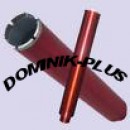 Logo - DOMINIK-PLUS