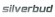 .SILVERBUD