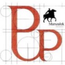 Logo - Pracownia Usug Projektowych architekt Arkadiusz Marszaek