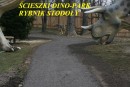 zdjecie pracy nr 0