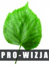 Logo - Pro-Wizja Pracownia Projektowa