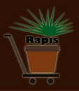 Logo - RAPIS EWA CZERWISKA
