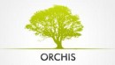 Logo - Urzdzanie i pielgnacja ogrodw oraz terenw zieleni ORCHIS