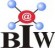 Biuro Inynieryjno-Wdroeniowe "Intelligent Systems"