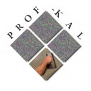 Logo - F.R.U.H. PROF-KAL