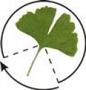 Logo - OgrodyPiotra.eu