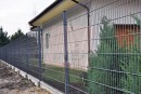 zdjecie pracy nr 5