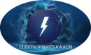 Logo - ElektroProfesjonalni