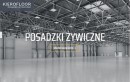 Logo - KIEROFLOOR Posadzki ywiczne Arkadiusz Kieroski